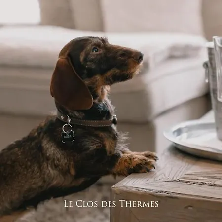 Clos Des Thermes-secret Garden Hotel Lieja